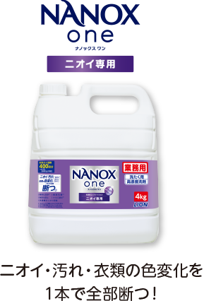 LION NANOX ONE