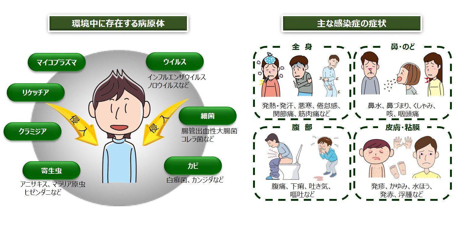 46-2_Infectious_countermeasures_infection_01.jpg