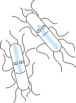 Clostridium-botulinum.png