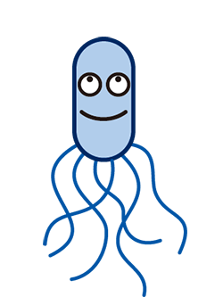 Enterohemorrhagic-Escherichia-coli.png