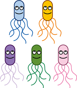 pathogenic-Escherichia-coli.png