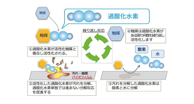 ライオンの活性化触媒技術